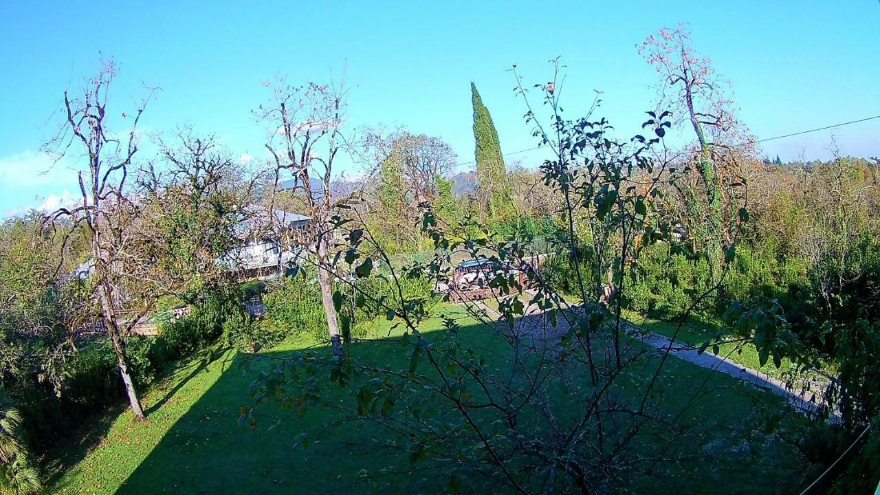 Surmava Palace Martvili Εξωτερικό φωτογραφία